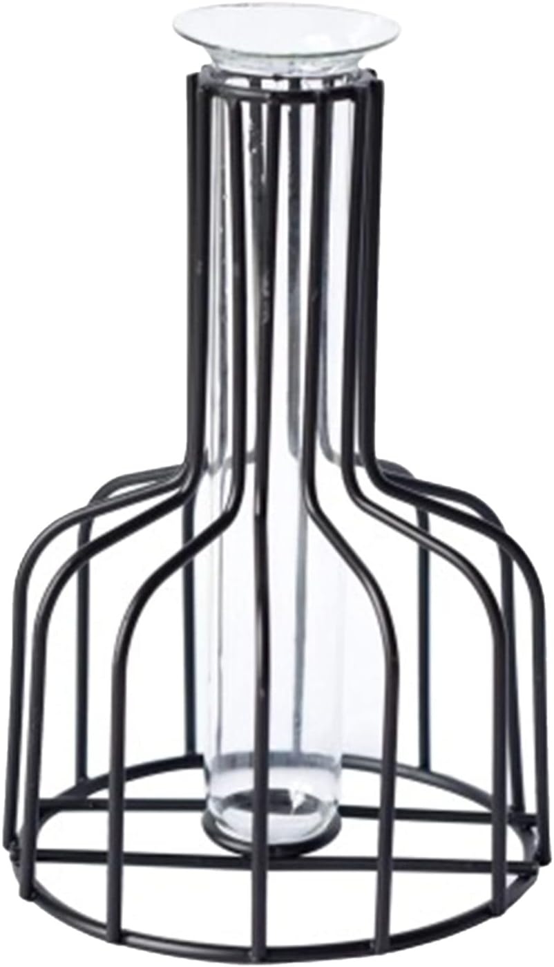 FRAKYEN Florero de vidrio geométrico con soporte de metal, flores secas de hierro, vidrio transparente, tubo de ensayo hidropónico creativo, pequeño