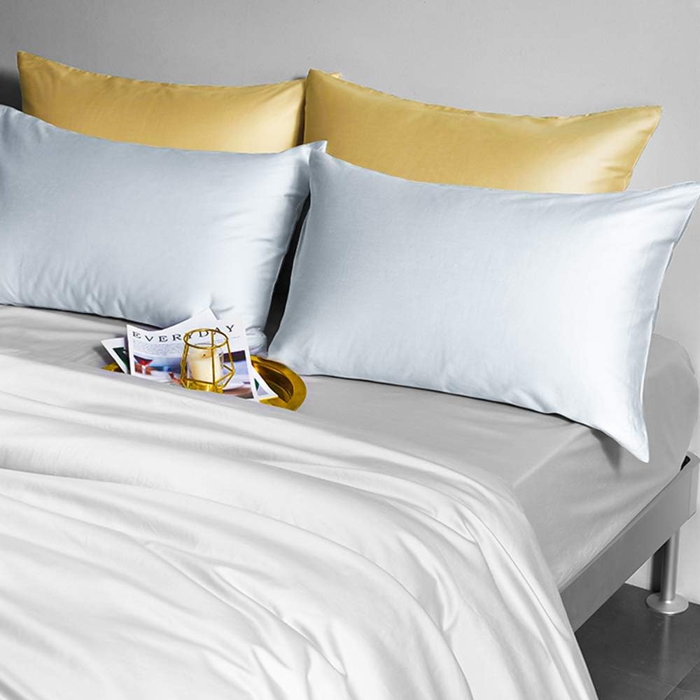 FLXXIE Paquete de 2 fundas de almohada de satén King con cremallera para cabello y piel, sedosas y súper suaves (20 x 36 pulgadas), fundas de