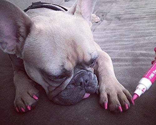 Warren London Pawdicure – Bolígrafos de esmalte de uñas para perro, fabricados en Estados Unidos, secado rápido, bajo olor, accesorios no tóxicos