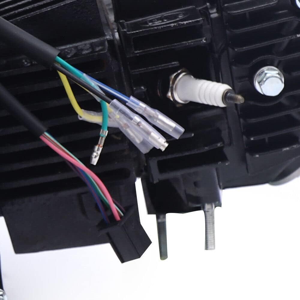 CNCEST Kit de motor de motor de 4 tiempos de 125 CC – Motor de motor de 2 válvulas refrigerado por aire de un solo cilindro con arranque de pedal