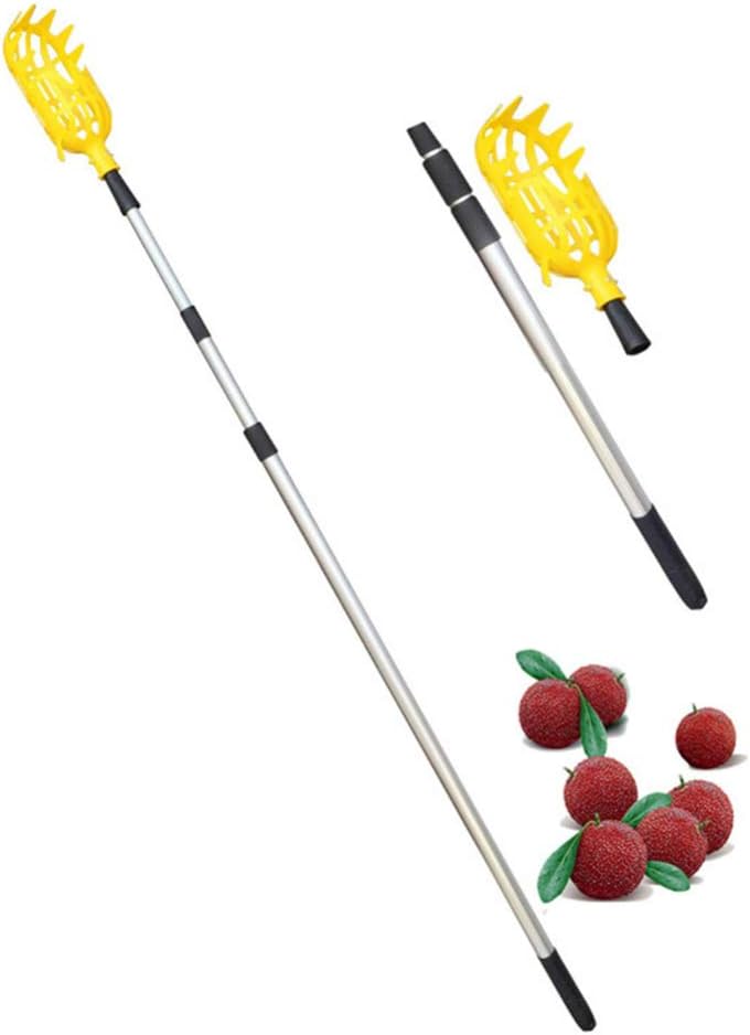 Hemoton 2 unids Recogedor de Frutas Stick Acero Inoxidable Tuercas Recogedor de Frutas Cesta Recolector de Frutas Herramienta Recogedor de Frutas