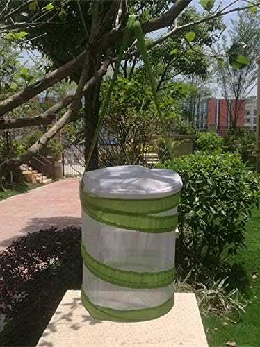 Mini jaula de malla para insectos y hábitat de mariposas y orugas, terrario de insectos emergente de 5.5 x 7 pulgadas de alto para niños