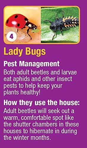Nature’s Way Bird Products 066465 Cwh8 Deluxe Insect House