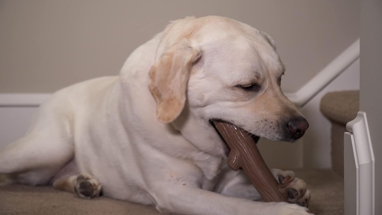Hero Bonetics Stick – Juguete masticable para perros con aroma a madera, suave para los dientes y el abdomen