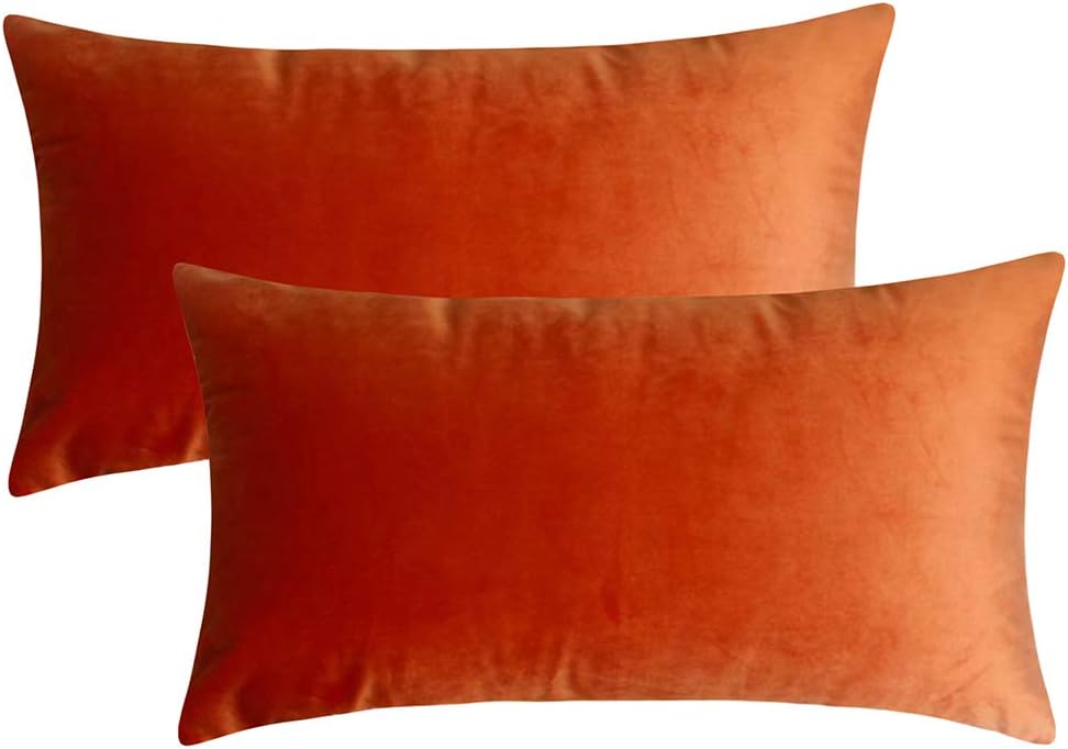 Artcest – Juego de 2 fundas de terciopelo para cojines decorativos, fundas para cojines decorativos sólidos para sofá y cama