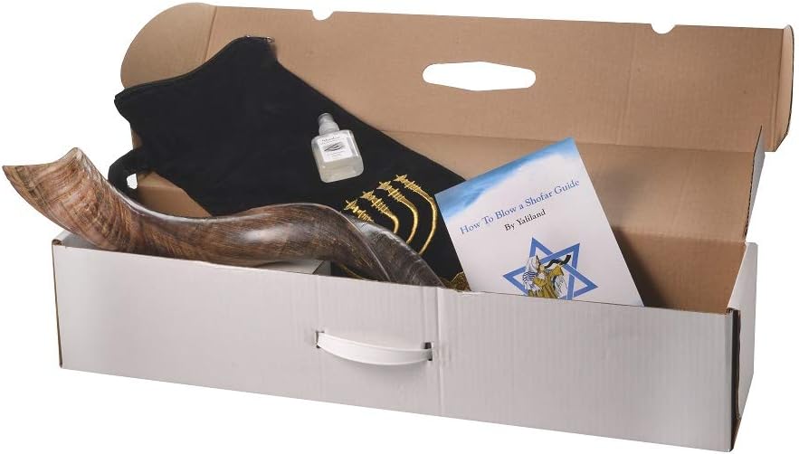 SHOFAR Set Full Natural Kudu Horn Yemenite + Bolsa + Guía + Estuche de transporte (30-32 pulgadas) de Israel