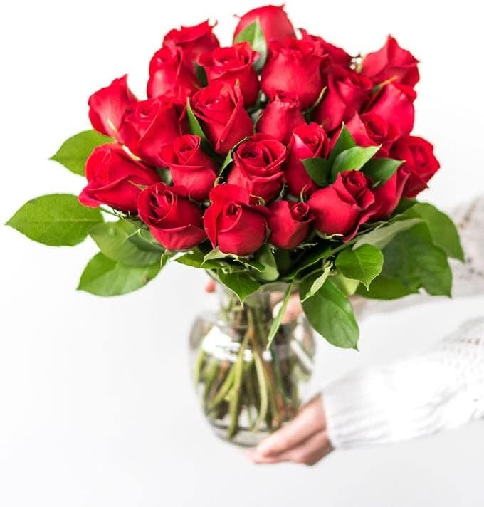 From You Flowers – Dos docenas de rosas rojas de tallo largo con jarrón de vidrio (flores frescas), cumpleaños, aniversario, recuperarse,