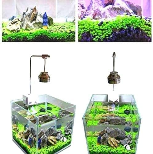 1 paquete de hierba de acuario de hojas pequeñas, hierba de acuario, hierba de agua, planta de acuario, hierba de acuario de fácil crecimiento,