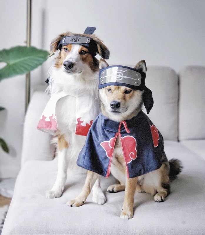 ChoChoCho Disfraz de anime para perros y gatos, disfraz de capa ninja, ideal para Halloween, eventos de cosplay, adecuado para cachorros, mascotas