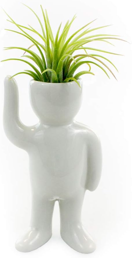 NW Wholesaler Maceta en forma de persona de cerámica blanca de 4.75 pulgadas con planta de aire Tillandsia viva, plantas de aire de interior en