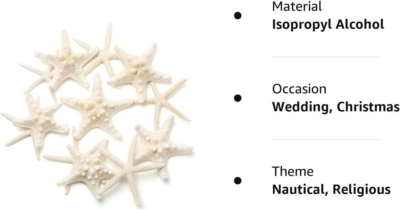gopiter 12 piezas de estrellas de mar  Decoración de estrellas de mar de 2.5 a 6 pulgadas  Conchas naturales de estrella de mar a granel perfectas