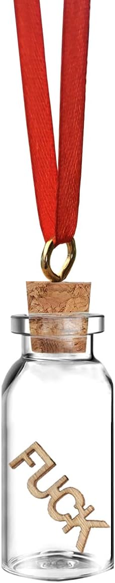 Tarro de Fucks Adorno de Navidad, adorno de My Last Fuck, adorno divertido 2023, adorno lindo 2023, adorno para adultos, mini botella de vidrio,