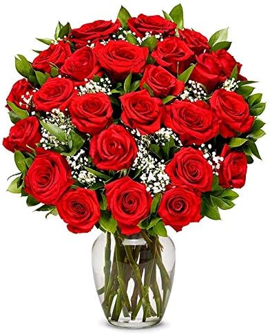 From You Flowers – Dos docenas de rosas rojas de tallo largo con jarrón de vidrio (flores frescas), cumpleaños, aniversario, recuperarse,