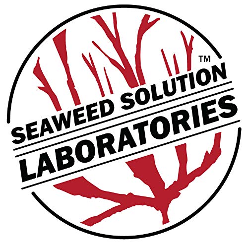 Agar Agar en polvo – 0.53 oz, grado de laboratorio