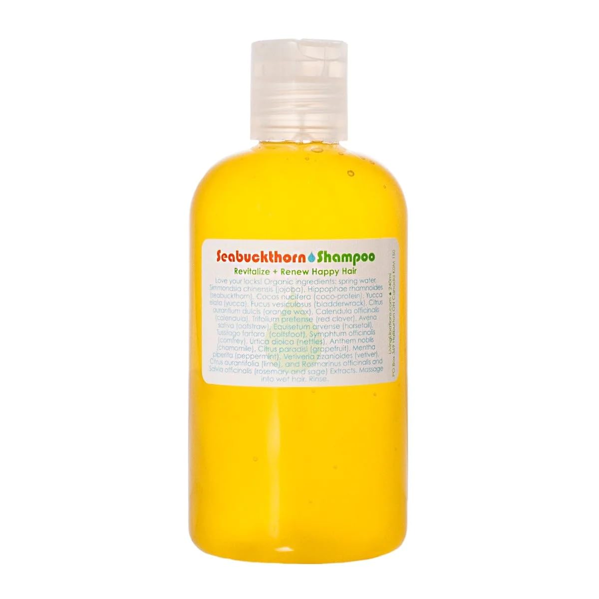 Living Libations – Champú orgánico de espino marino  Belleza limpia natural, silvestre (8 fl oz  8.1 fl oz)