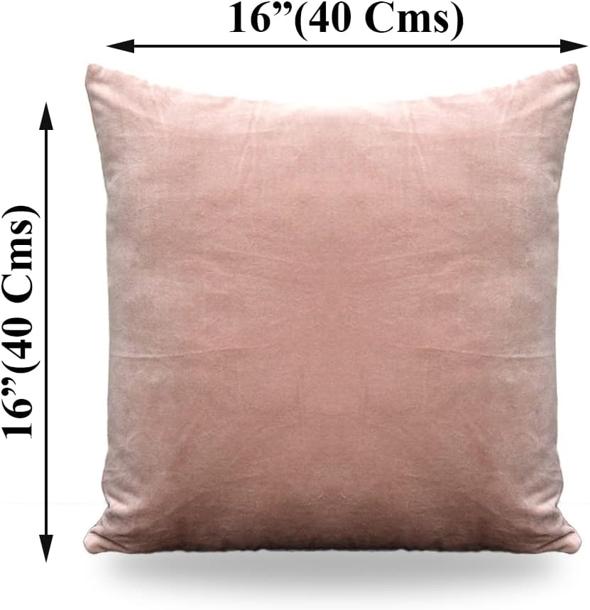 knilot Fundas de almohada color rubor de 16 x 16 pulgadas, paquete de 2 fundas de almohada de terciopelo cuadradas decorativas de color sólido