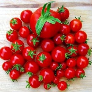 Tomate Cherry Maskotka Cascading Trasero Enano Arbusto Tomate 50+ Semillas para plantar sin OMG Tomate Cherry Maskotka Cascading Trasero Enano Arbusto Tomate 50+ Semillas para plantar sin OMG