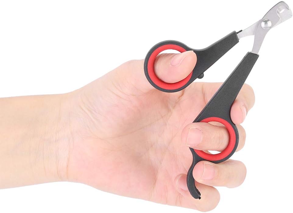TSYFM Cortaúñas para pájaros, tijeras de uñas de acero inoxidable sólido, tijeras de uñas para pájaros, tijeras para mascotas, pájaros, animales