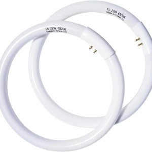Bombilla circular T5 de 22 W de 7 pulgadas compatible con Floxite Zadro Rialto Maquillaje Espejo FC22 Bombilla fluorescente redonda 6500K 2 unidades Bombilla circular T5 de 22 W de 7 pulgadas compatible con Floxite Zadro Rialto Maquillaje Espejo FC22 Bombilla fluorescente redonda 6500K 2 unidades