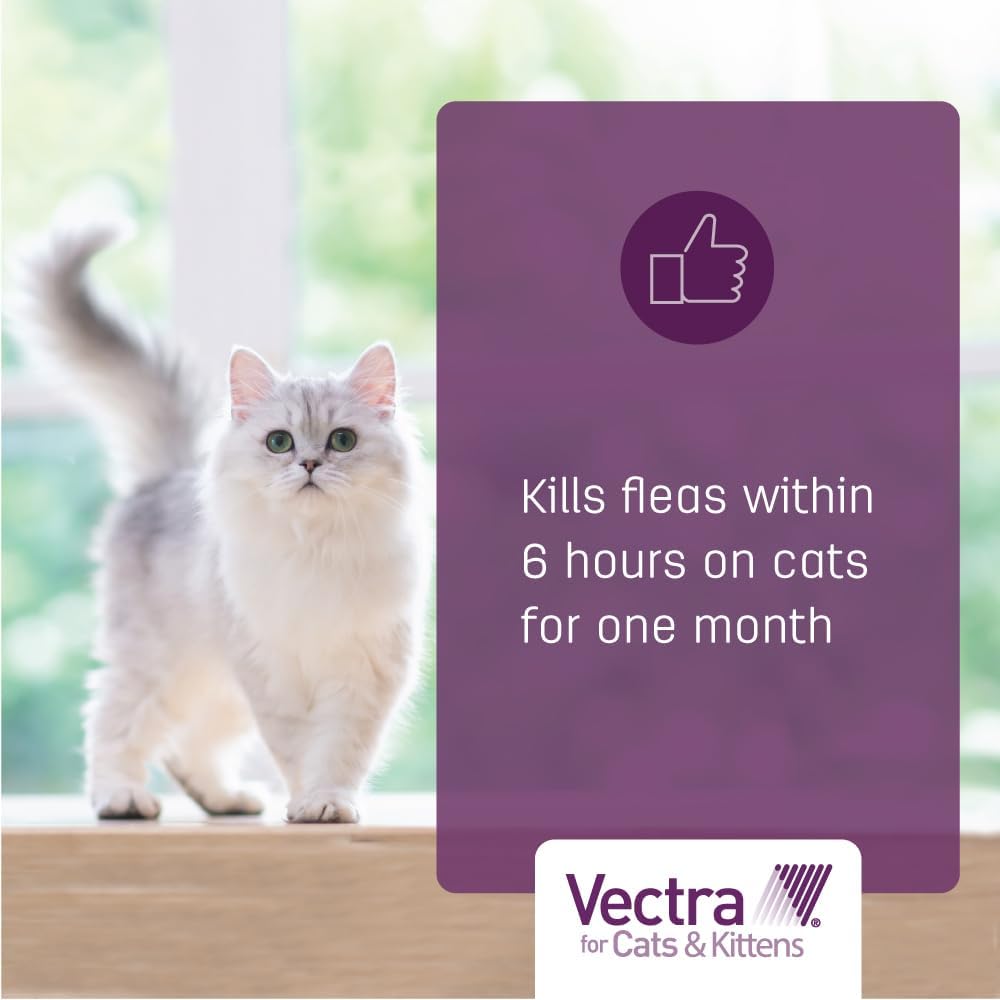 Vectra Bronceado para gatos y gatitos 2-9 libras 6 dosis