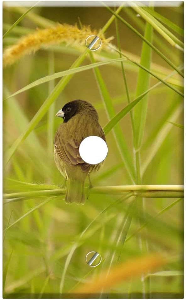 Single Hole Device TelephoneCable Wall Plate Cover – Nature Fauna Flora Insects Armenia Quindio