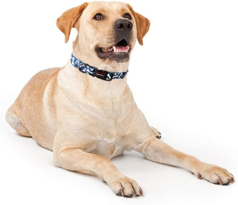 QQPETS Collar suave ajustable para perro Estampado de flores rosadas, multicolor, lindos patrones para especies pequeñas, talla XS, especies