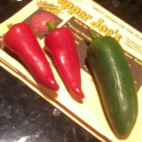 Pepper Joe’s Paquete de 3 semillas de jalapeño  3 variedades esenciales de jalapeño para cultivar en tu jardín  Jalapeno temprano, jalapeño