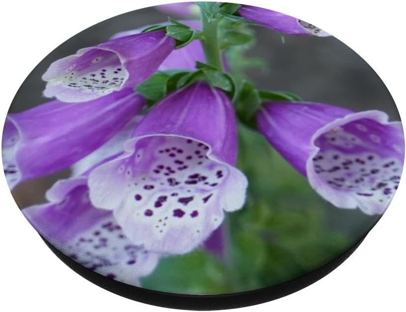 PopSockets Standard PopGrip