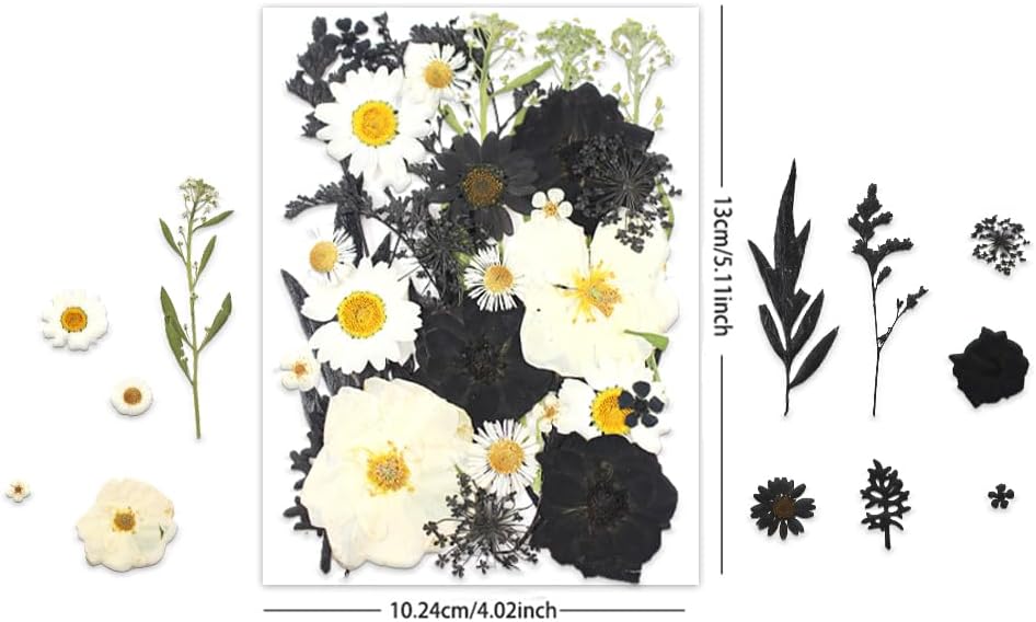 Buzidao Flores secas prensadas, más de 60 piezas de flores prensadas naturales para resina, arte de uñas, álbumes de recortes, velas, tarjeta de