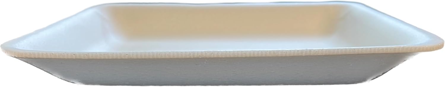 Crafts – Bandejas de espuma, bandeja de espuma blanca para carne, bandejas de mezcla de pintura y tinta, bandeja de alimentos, bandejas de impresión