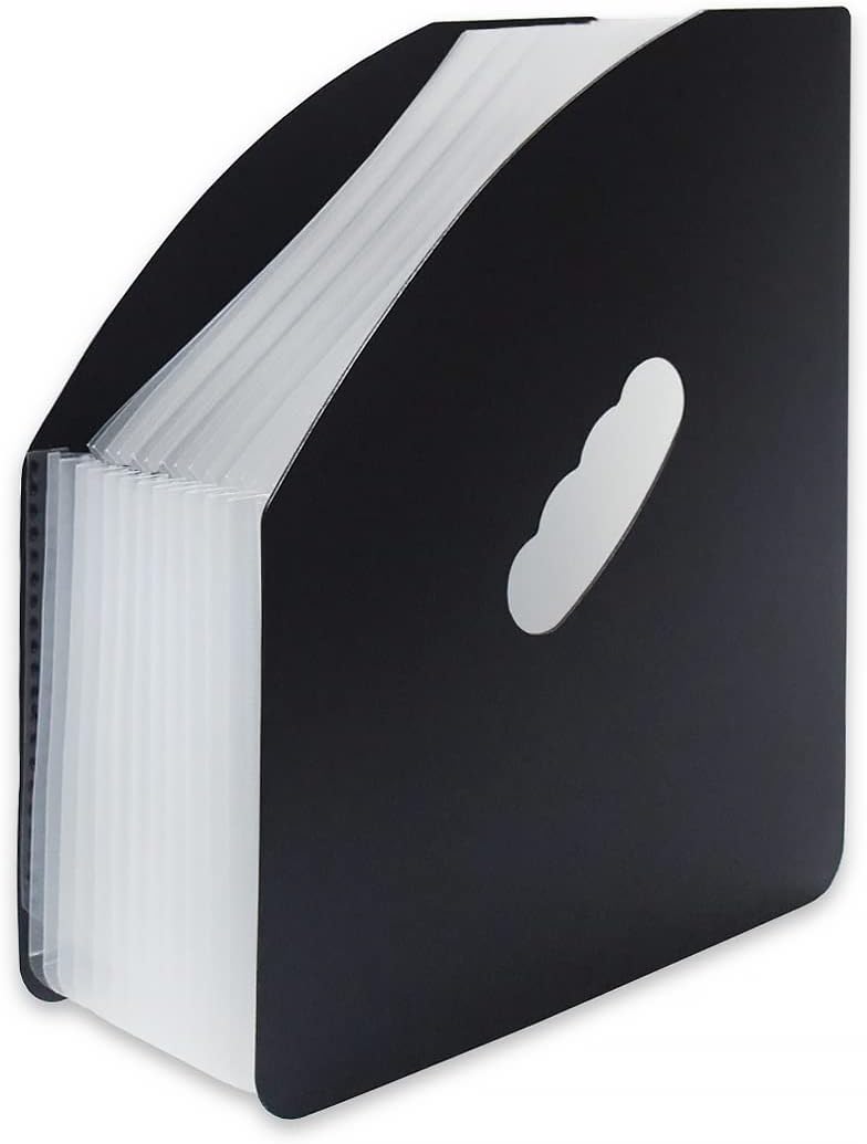 SAYEEC Archivador expandible con diseño de arco iris, tamaño A4, vertical, mini organizador de archivos, cesta de revista, escritorio, 13 bolsillos,