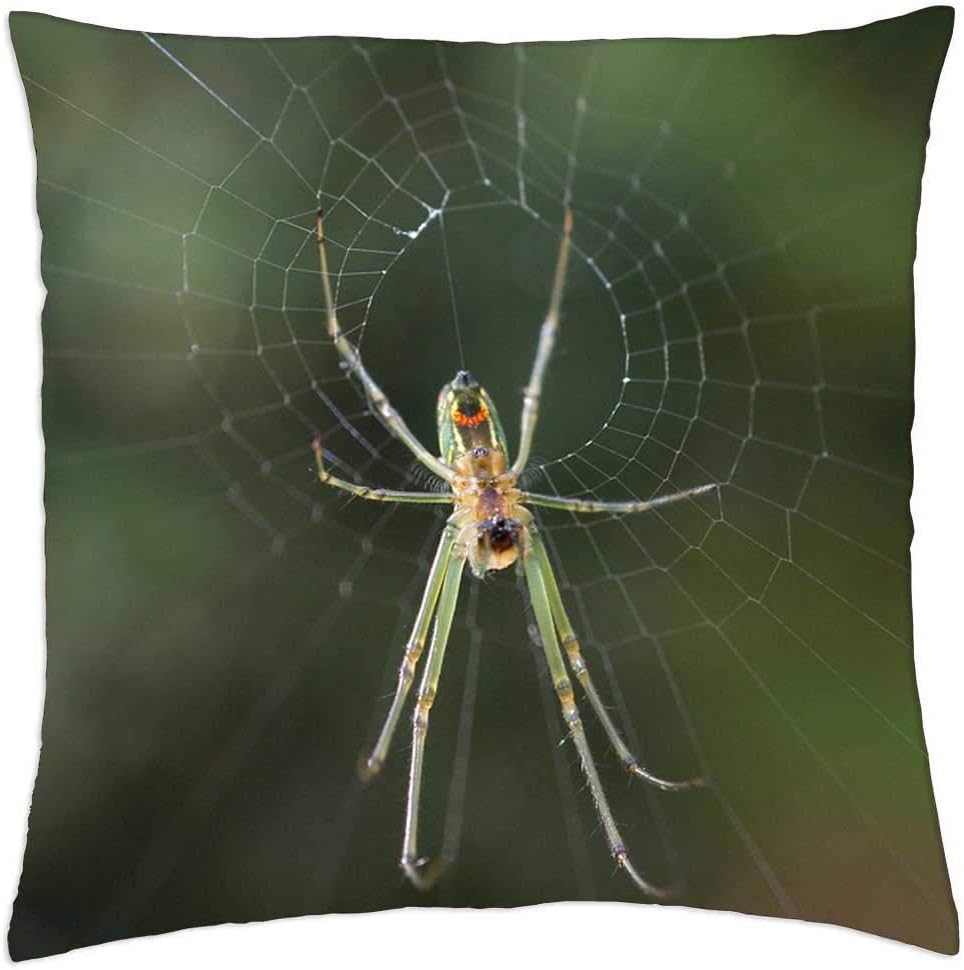 LESGAULEST Throw Pillow Cover (16×16 inch) – Insects Area Kettle Quindio Colombia