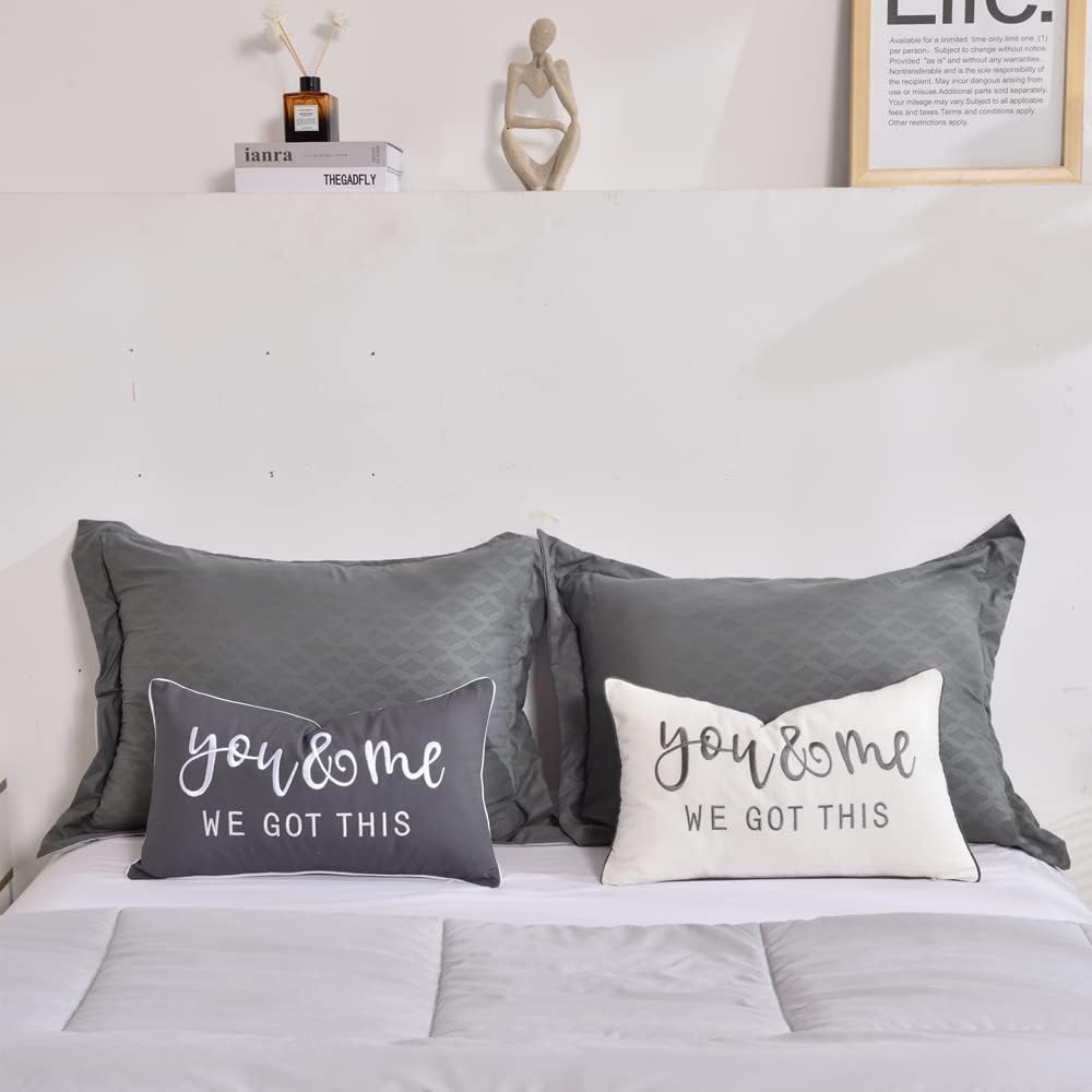 Fundas decorativas de almohada lumbar de 12 x 20 pulgadas con You and Me We Got This Quote, suave y lujosa funda de almohada rectangular para
