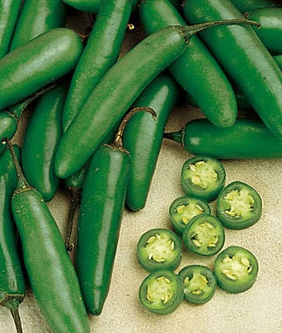 Semillas de Chili Pepper Serrano – 100 Seeds por OrginBud