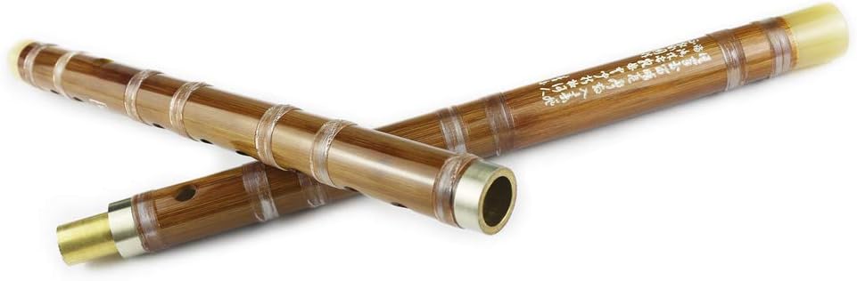 Flauta Dizi (clave de C, D, E, F, G), de bambú amargo, negra, para principiantes y profesionales, con juego de membrana, pegamento y protector. Este