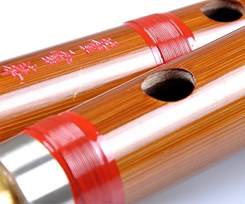 ATTESTADO Dong Xue Hua Dizi Modelo 8881 – Flauta de bambú china (juego completo de 5 (CDEFG) con estuche de aluminio