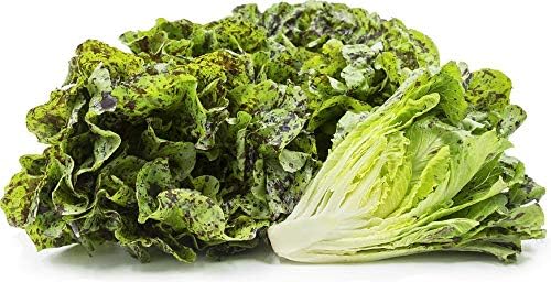 Pecas semillas de lechuga romana, más de 1000 semillas tradicionales por paquete, semillas de jardín de Isla (semillas de jardín de Isla), semillas
