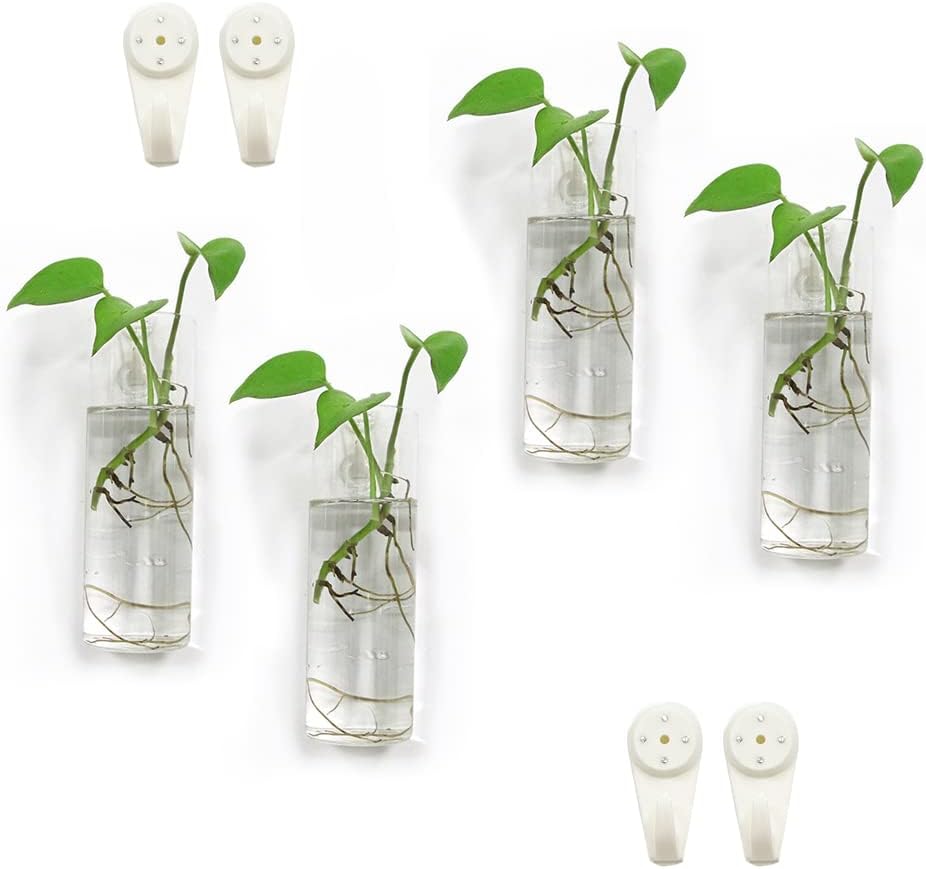 Macetas de pared para plantas de interior, macetas de terrario colgantes de pared, macetas de pared de vidrio para arreglos florales, soporte para