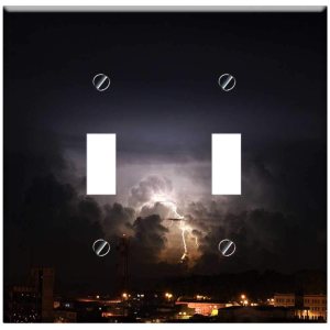 Switch Plate Double Toggle – The Field Nature India Quindio Colombia 2 Switch Plate Double Toggle – The Field Nature India Quindio Colombia 2