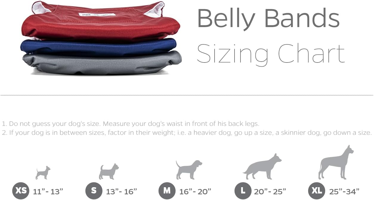 Pet Parents Bandas para el vientre lavables de alta calidad para perros machos y extensores, (paquete de 3) de pañales para perros machos y bandas