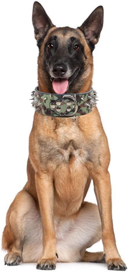haoyueer Sharp – Collar de perro con tachuelas y tachuelas de 2 pulgadas de ancho, elegantes collares de cuero para perros medianos y grandes,