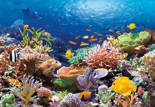 Castorland Rompecabezas de peces de arrecife de coral (1000 piezas)