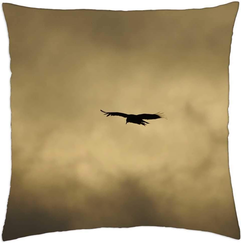 Throw Pillow Cover (24×24 inch) – Birds Nature Quindio Colombia 4