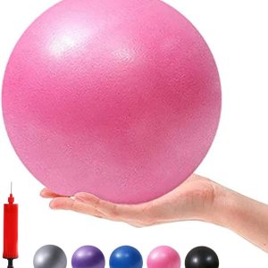 Small Pilates Ball 6 Inch Exercise Ball for Yoga Classroom Core Ball Barre Ball for Physical Therapy Balance Stretching with Pump Small Pilates Ball 6 Inch Exercise Ball for Yoga Classroom Core Ball Barre Ball for Physical Therapy Balance Stretching with Pump