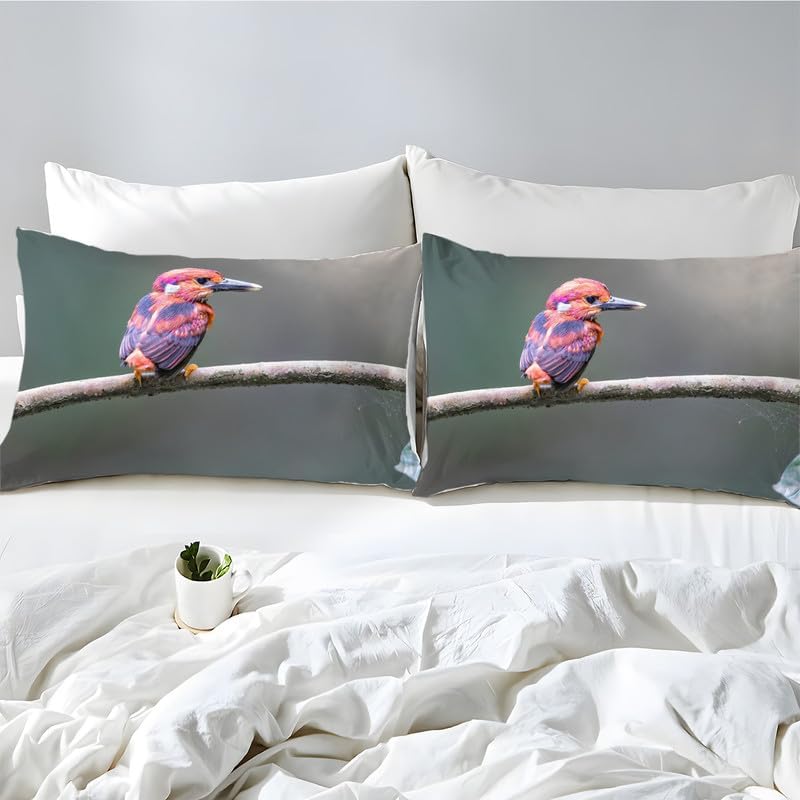 Dark Brown Bird Twin Duvet Cover Animal Print Twin Bedding Sets Soft Microfiber Comforter Cover and 2 Pillow Shams 20″X26″, Bed Set Duvet Covers