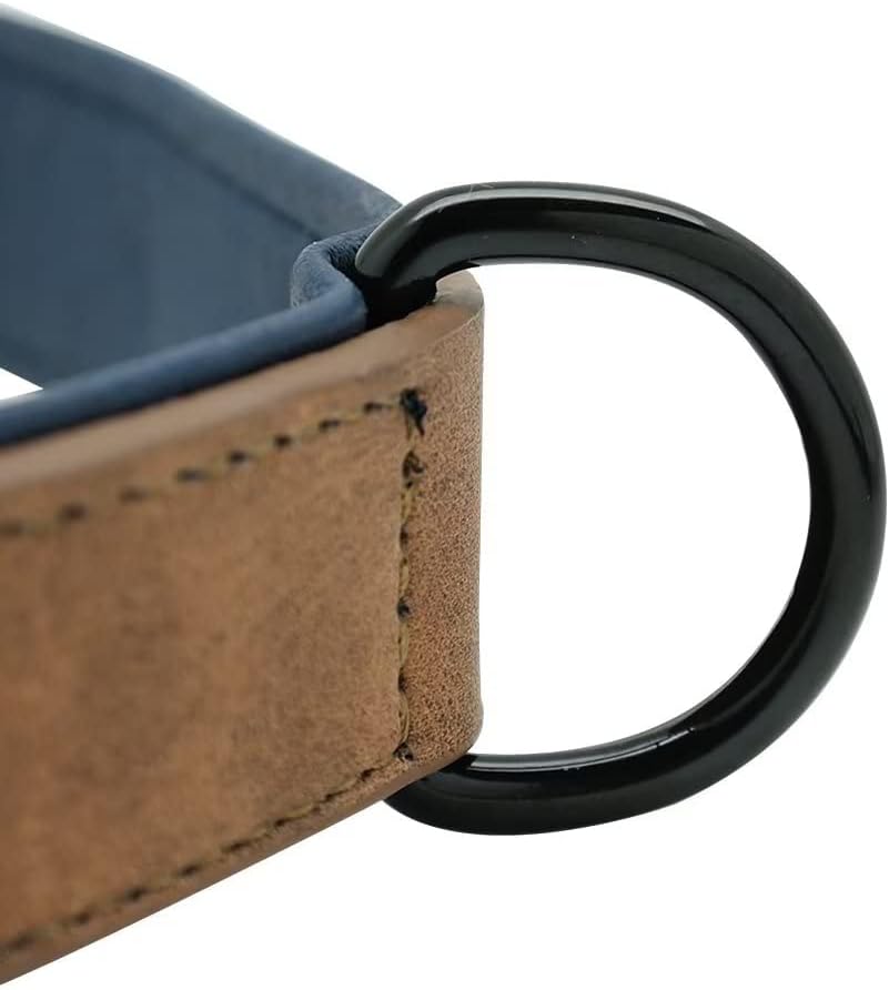 Didog Collar de perro de cuero personalizado, collares de perro grabados con placa de identificación personalizada, collar personalizado acolchado