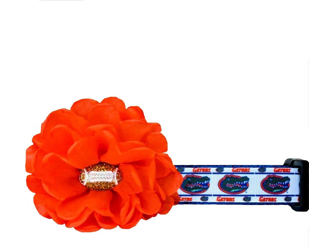 Florida Gators Dog Collar