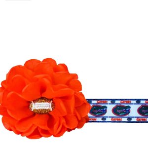 Florida Gators Dog Collar Florida Gators Dog Collar