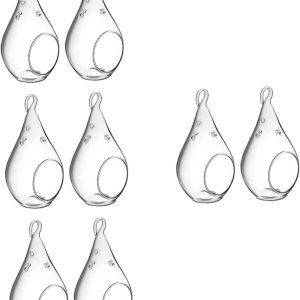 IMIKEYA 8 macetas colgantes de vidrio, contenedor de terrario colgante, jarrones de vidrio transparente, jarrón de flores de vidrio, portavelas IMIKEYA 8 macetas colgantes de vidrio, contenedor de terrario colgante, jarrones de vidrio transparente, jarrón de flores de vidrio, portavelas