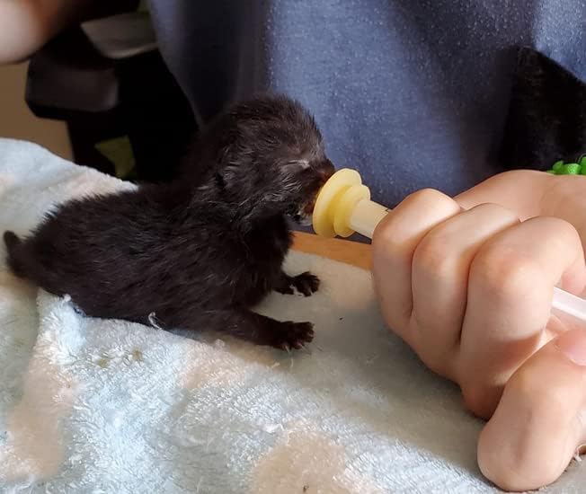 Paquete de 10 pezones de lactancia para mascotas, kit original de repuesto para alimentación de pezón para gatitos recién nacidos, cachorros,